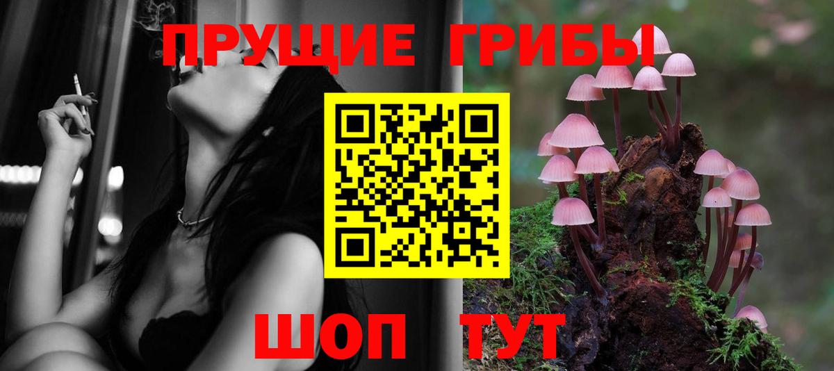 Галлюциногенные грибы мицелий  Вход с VPN  наркота  Галлюциногенные грибы GOLDEN TEACHER  Кстово 