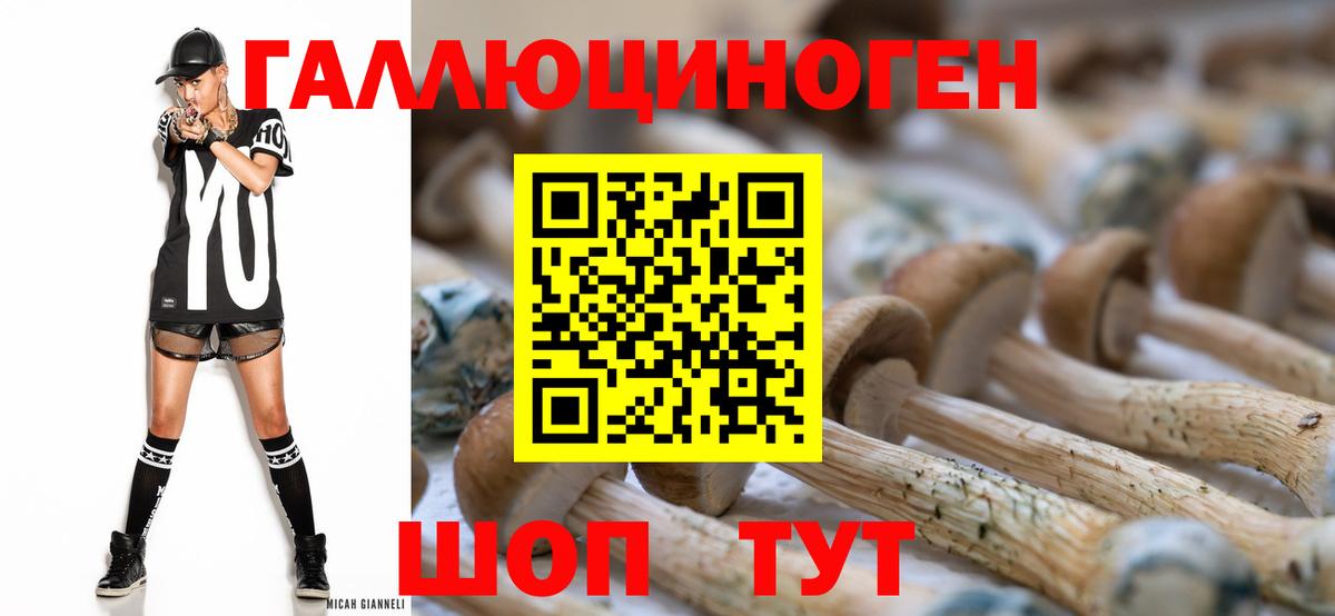 Псилоцибиновые грибы Cubensis Кстово